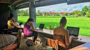 Work From Anywhere 2025
